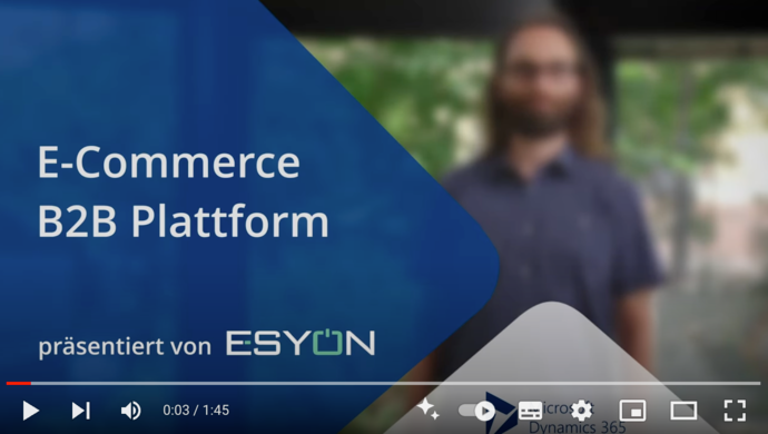 Screenshot of a video: E-Commerce B2B platform, presented by ESYON